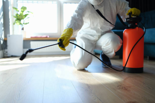 Reliable Odor Removal contractor in Summerfield, IL by Crime Scene Cleaner Online